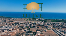 OLIVECOURT-2-INTRODUCTIONS